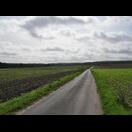 Im Nördlichen Teutoburger Wald